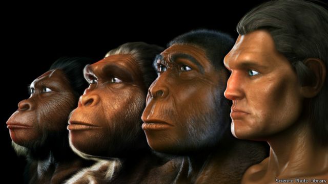 Fósil muestra cambios evolutivos en una especie humana extinta