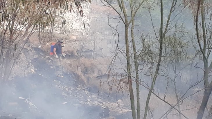 Niños traviesos incendian pastizal en Monclova