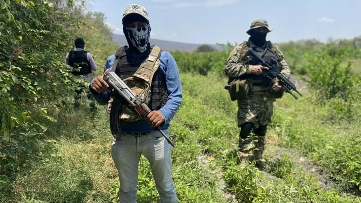 ONU: narco mexicano se adaptó a pandemia
