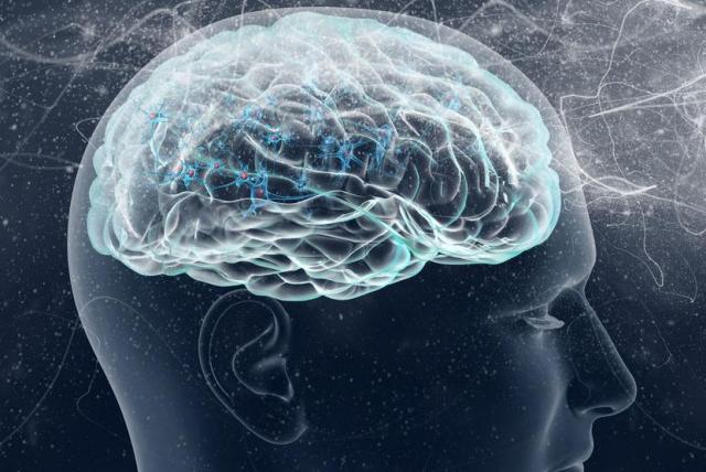 Científicos del IBEC descubren un mecanismo de entrada de fármacos al cerebro