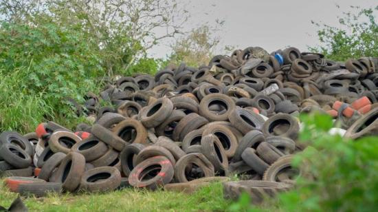 Autoridades sacarán de Galápagos unos 10,000 neumáticos usados