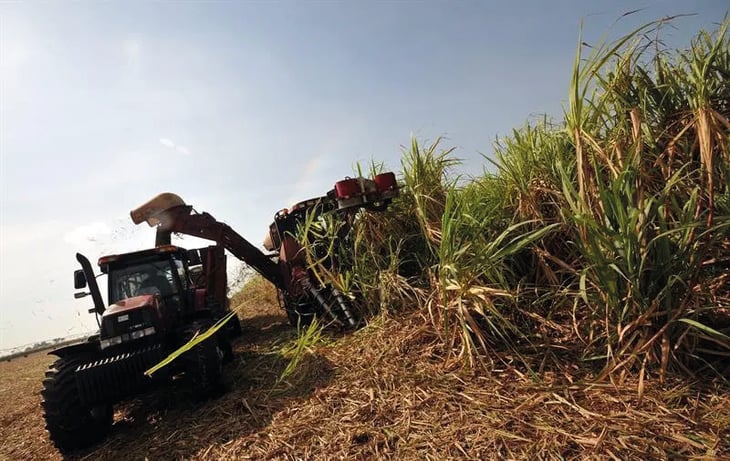 Cuba proyecta producir 1,2 millones de toneladas de azúcar en actual cosecha