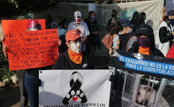 Defensores de animales liberan a perros del Cemca en Mérida