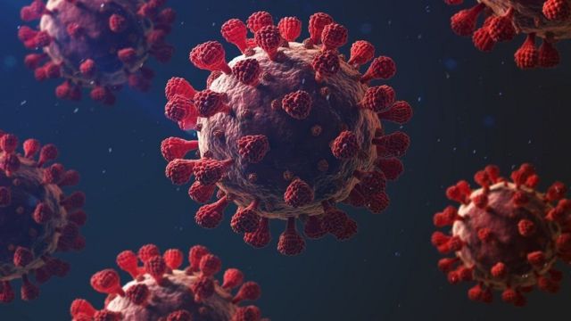 Cada vez es más probable que el coronavirus se vuelva endémico, según OMS