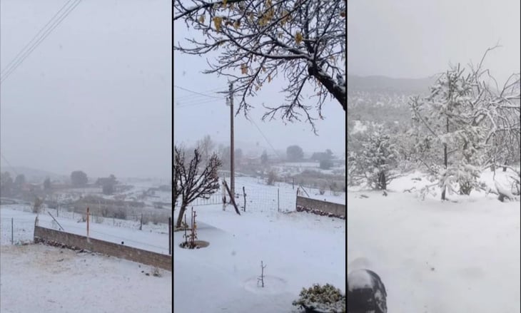 Cae nieve en varios  municipios de Chihuahua