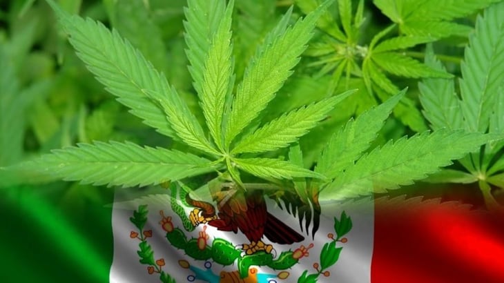 Regulación de cannabis, prohibicionista, acusan