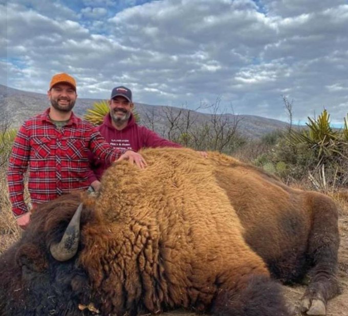 Coahuila investiga orígenes de presunta caza de bisontes