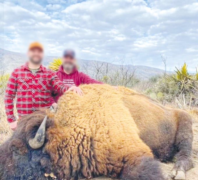 Reprueba Coahuila cacería ilegal de bisontes: SMA