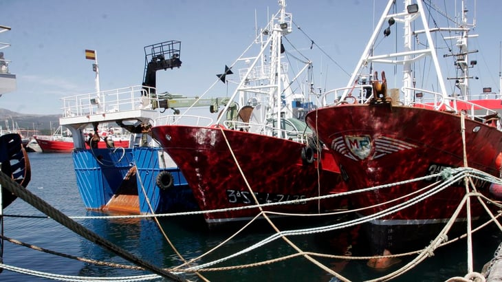 Silenciar los barcos, entre las ideas de las ONG para preservar el océano