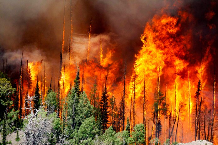 Incendio forestal consume 4,200 hectáreas en Chile