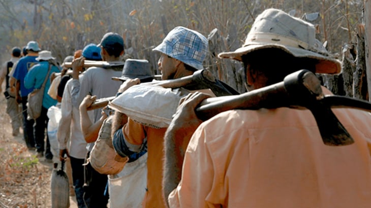 Rescatan a 110 personas en condición de esclavitud en Brasil