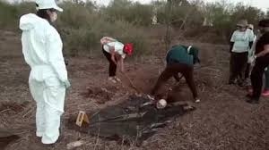 Rastreadoras localizan 5 cuerpos en fosas clandestinas en Sinaloa