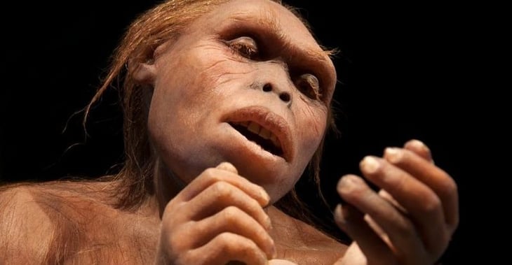 La destreza de los pulgares en el humano existía hace dos millones de años