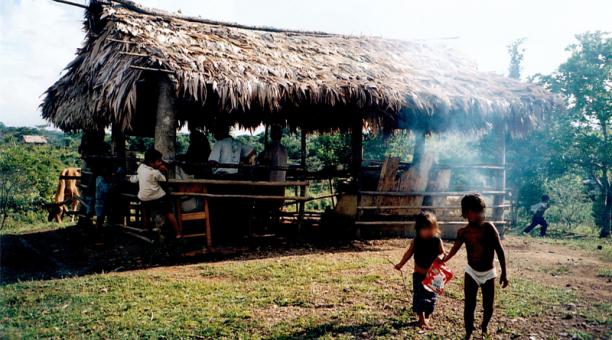 Al menos 49 indígenas fueron asesinados en Nicaragua en 2020, según informe