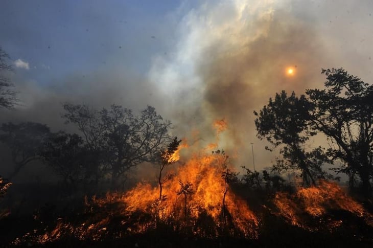 Incendio forestal amenaza la vegetación del páramo de Santurbán en Colombia