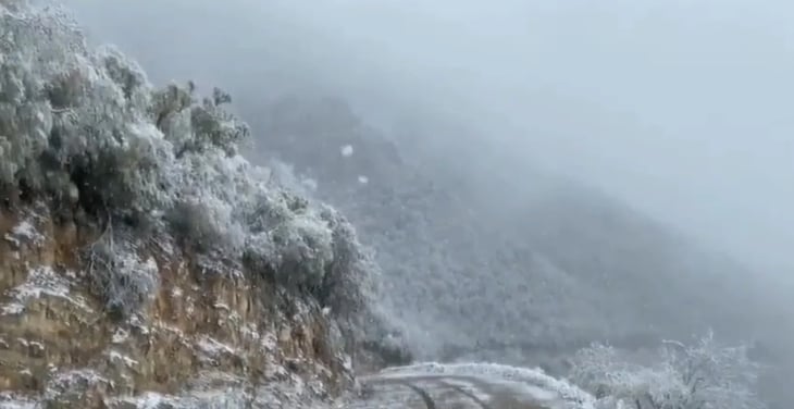 Anuncia la Conagua posible caída de nieve en Coahuila