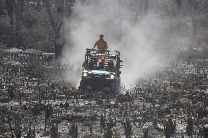Sofocan en Nuevo León cinco incendios forestales en seis días