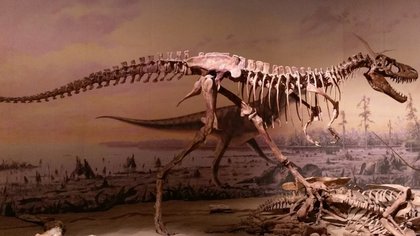 Las crías de Tiranosaurio rex redujeron la diversidad de dinosaurios