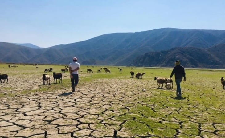 Campesinos en Hidalgo registran retraso en siembras por sequía