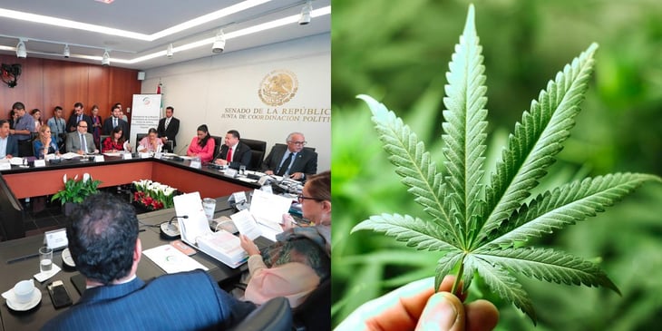 Diputados debaten en comisiones minuta del uso lúdico de la marihuana