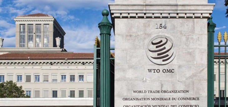 OMC: Recuperación de Comercio de Servicios será a corto plazo