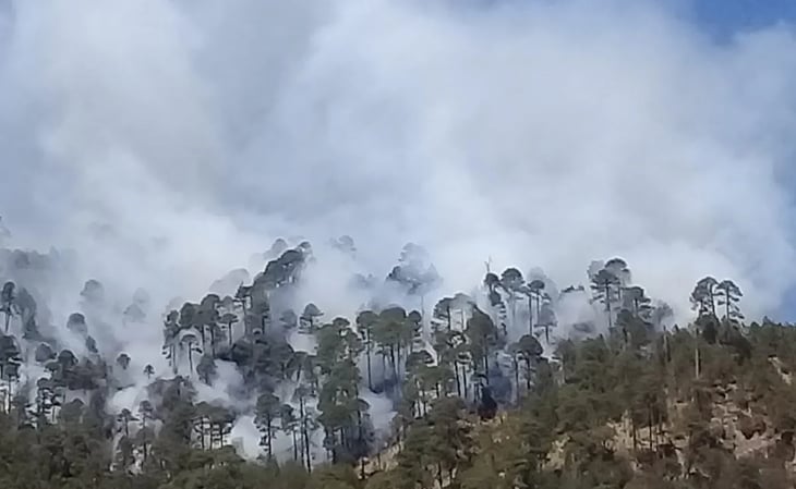 Reportan incendio forestal en el Pico de Orizaba
