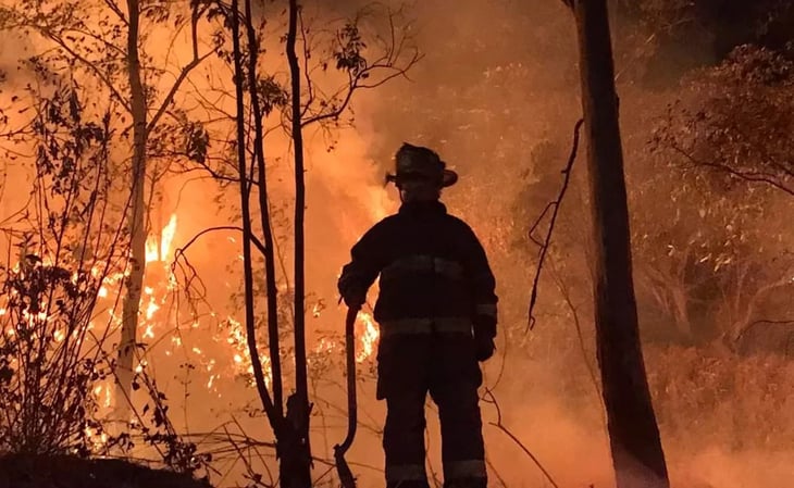 Reportan incendio en predio de reserva ecológica en Álvaro Obregón