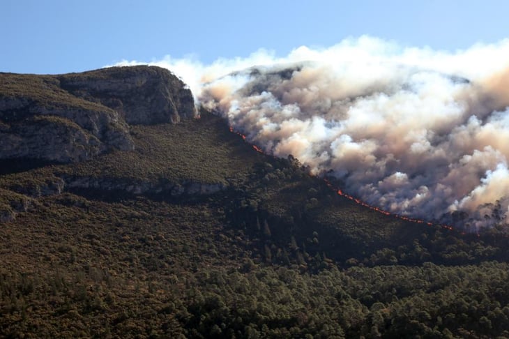 Consume fuego 3 mil 500 hectáreas en Arteaga Coahuila 