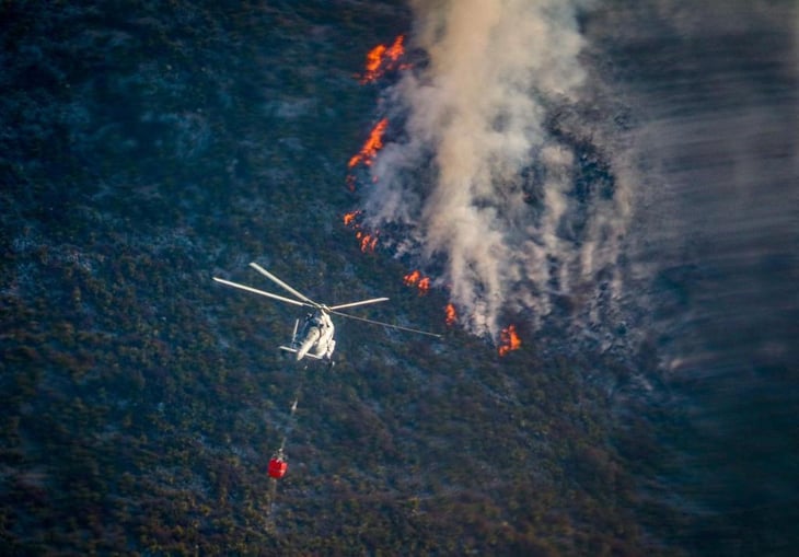 Más de 2,300 hectáreas de pino ha consumido fuego en Arteaga