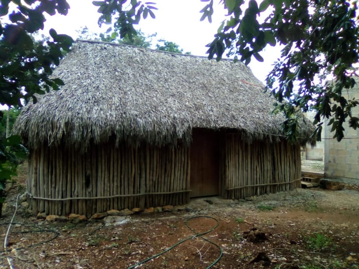Casas mayas muestran el vínculo entre la desigualdad y Gobiernos despóticos