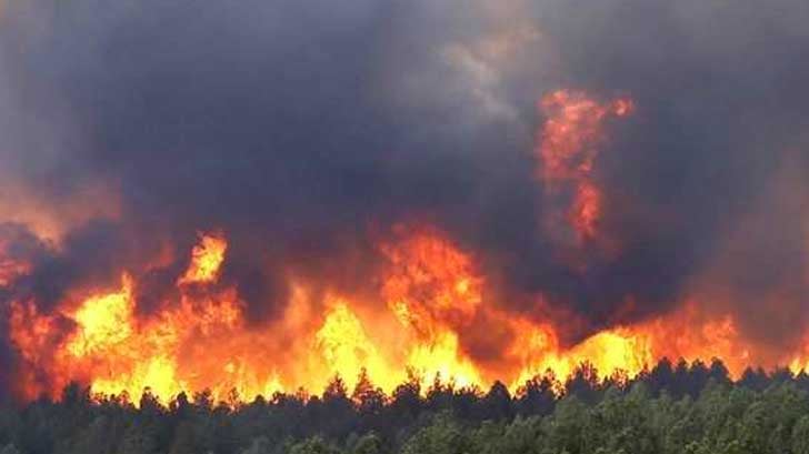 Semar se suma a combate contra incendios en Nuevo León y Coahuila