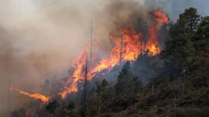Incendio forestal en el noreste de México acumula 12,000 hectáreas afectadas