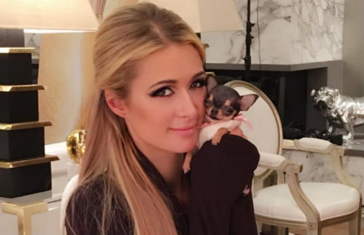Paris Hilton compra a su perro minibolso con un costo mayor a los 100 mil pesos