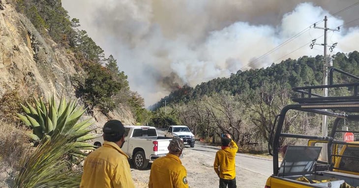 Brigadistas lograron sofocar el incendio en la Sierra de Arteaga 