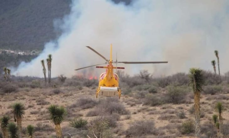 Combaten tres incendios forestales en Nuevo León