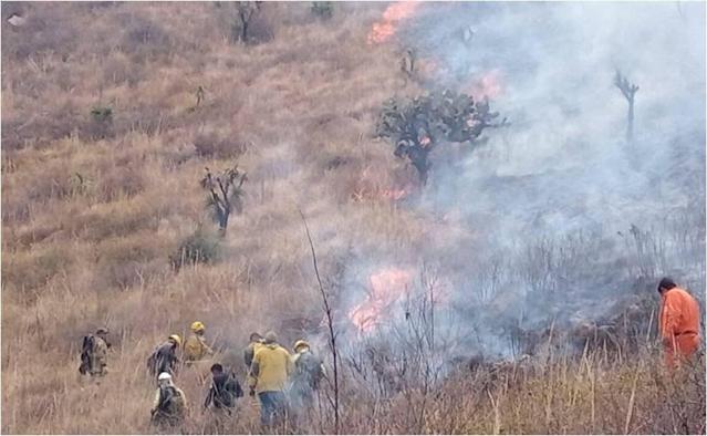 Controlan incendio forestal en la Sierra de Guadalupe en Coacalco