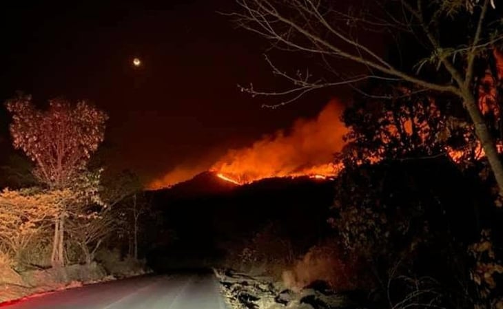 Sedena aplica Plan DN-III por incendios forestales en Los Reyes