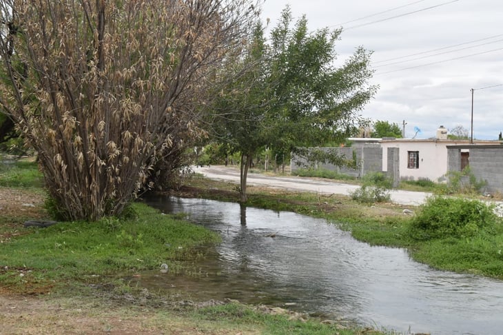 Agua, salud y educación; carencias de San Isidro