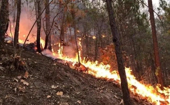 Realizan labores para controlar incendio forestal en Hidalgo