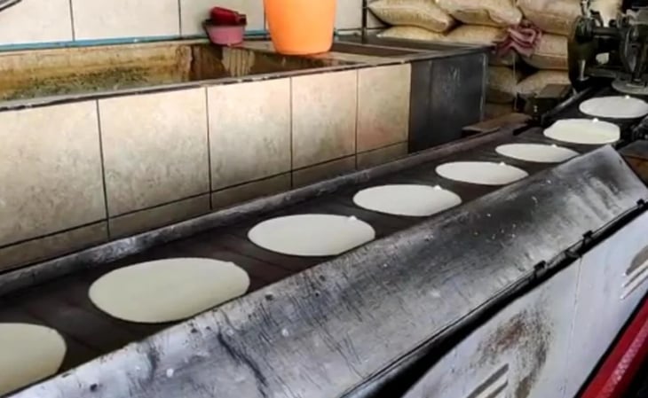 Kilo de tortilla podría llegar a los 24 pesos