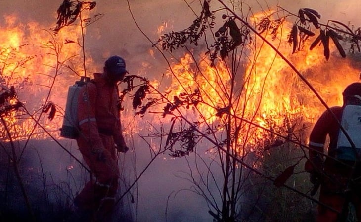Suman 139 incendios forestales en primeros días de abril en Yucatán