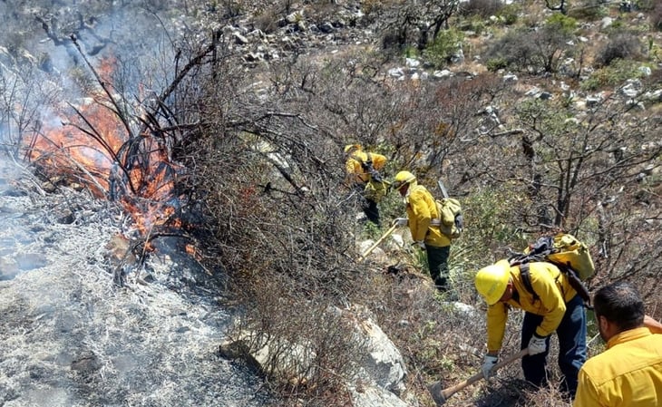 Incendio forestal amenaza a 10 comunidades del sur de NL