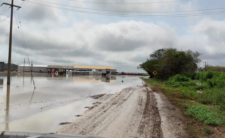 Lluvias en el oriente de Yucatán dejan inundaciones y caída de árbole