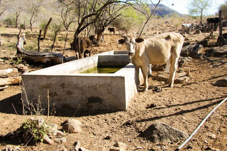 Sequía extrema en 5 municipios de Coahuila 