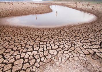 Agoniza el campo tras escasez de agua en Ocampo