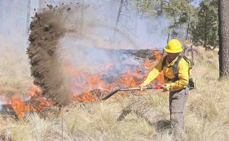 Acuerdan acciones para inhibir el uso de fuego en zonas forestales