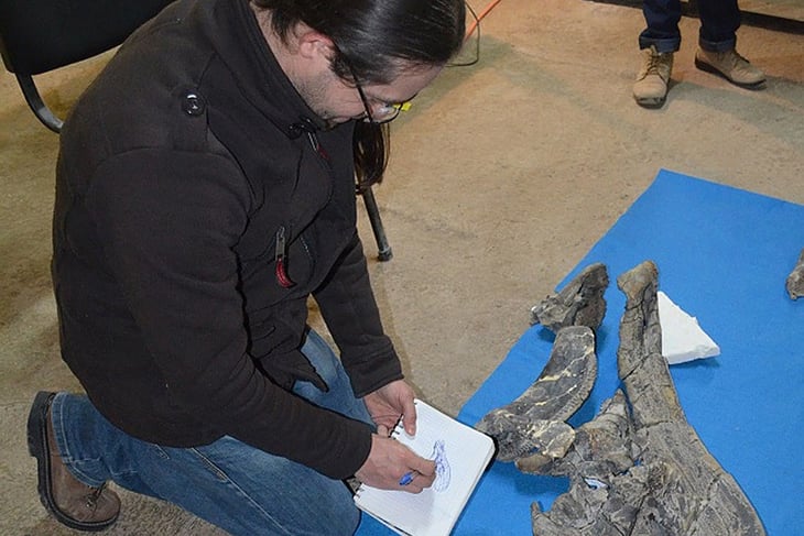 Paleontólogos mexicanos identifican en Coahuila una nueva especie de dinosaurio