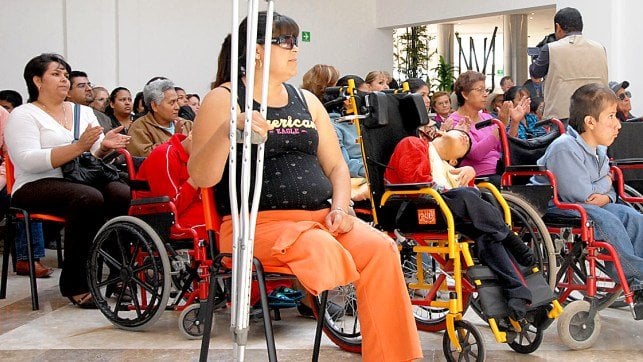 Asociación de discapacitados denuncian exclusión de Ley de Educación