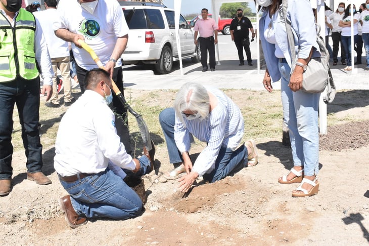 Realiza UAdeC plantación de 120 árboles en Monclova 