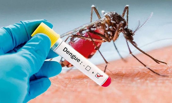 SLP ocupa lugar 11 a nivel nacional en casos de dengue